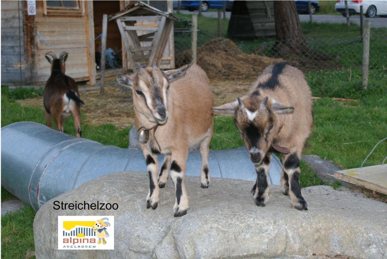 Ferien- Und Familienhotel Alpina Adelboden Kültér fotó